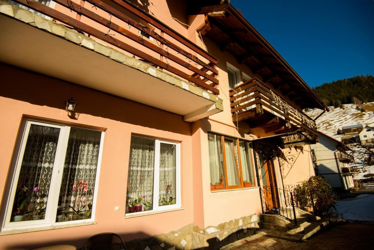 Vila Moecel Moeciu De Sus Dış mekan fotoğraf