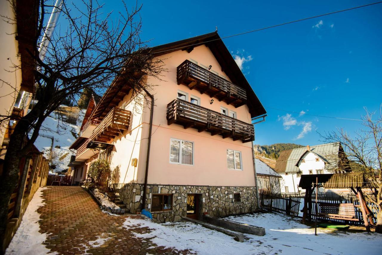 Vila Moecel Moeciu De Sus Dış mekan fotoğraf