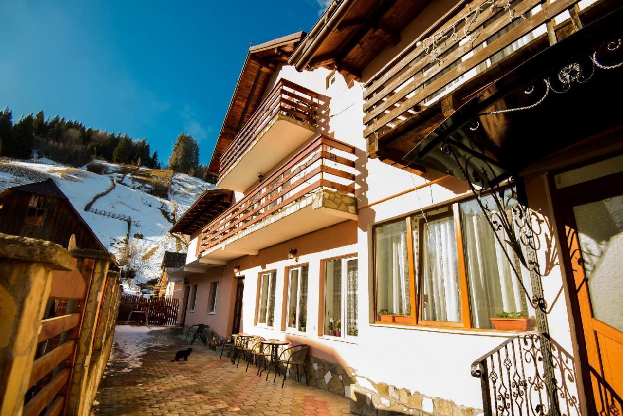 Vila Moecel Moeciu De Sus Dış mekan fotoğraf