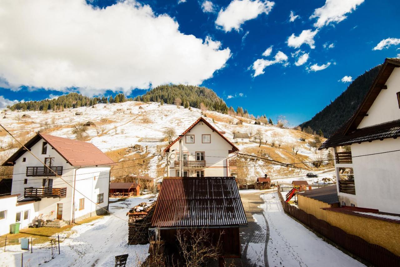 Vila Moecel Moeciu De Sus Dış mekan fotoğraf