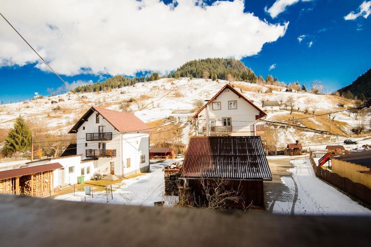 Vila Moecel Moeciu De Sus Dış mekan fotoğraf